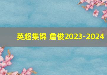 英超集锦 詹俊2023-2024